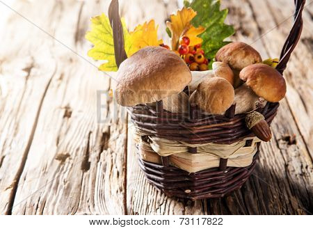 Ceps on wooden table, autumn harvest crop