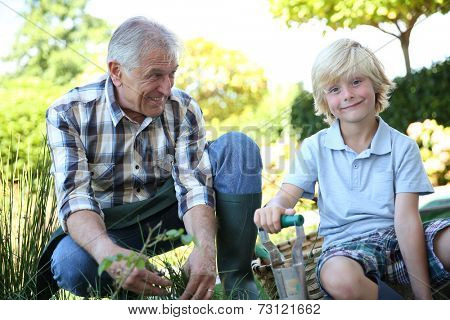 Grandpa with grandson gardening together in summer time