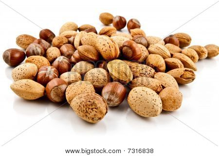 Frutta secca