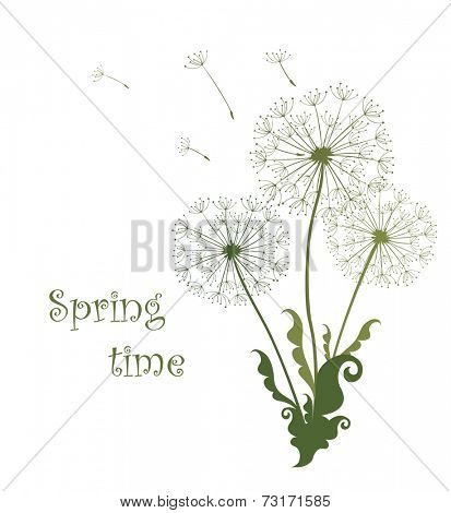 Spring card with dandelions