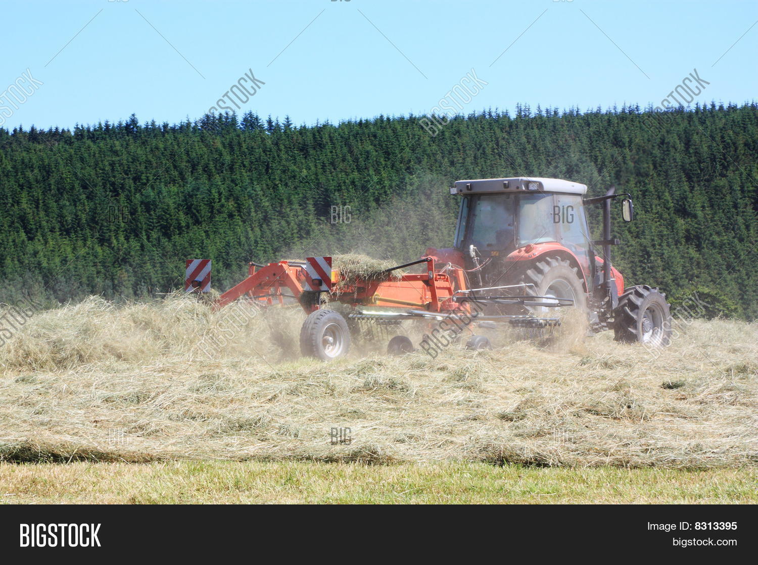 Agriculture Raking Hay Image & Photo (Free Trial) Bigstock
