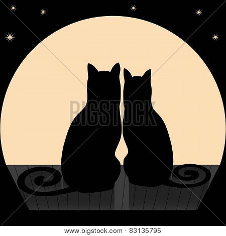 Cats On A Roof 1