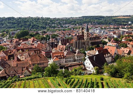 Beautiful geman city and wine fields