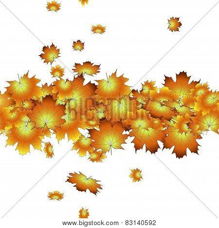 Collage Of Autumn Maple Leaves