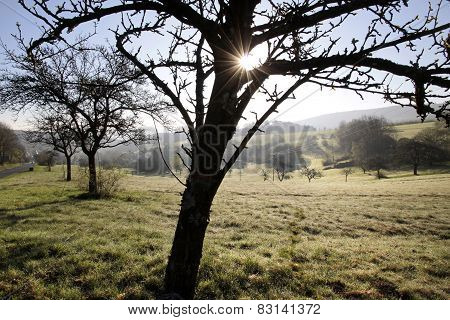 Sunrise In The Taunus Mountains