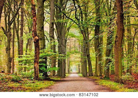 Trees Monument