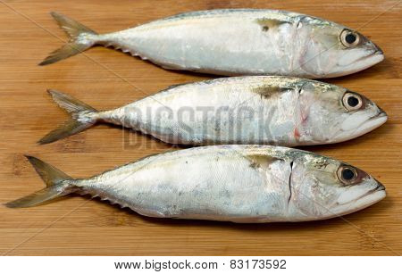 Three small mackerel on a kitchen chopping board prior to being prepared.