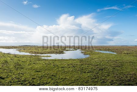 Swampy Nature Reserve