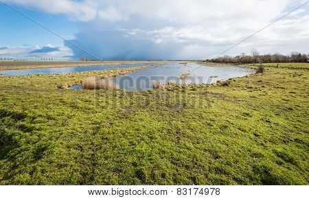 Swampy Nature Reserve