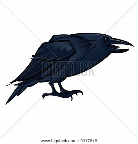 Raven or Crow