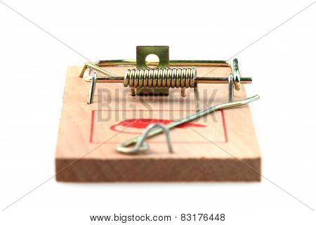 Mouse Trap Isolated