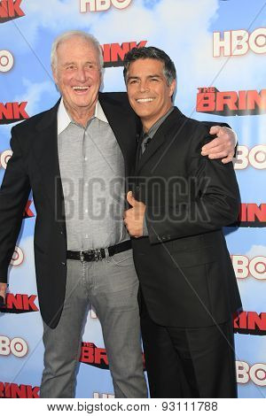 LOS ANGELES - JUN 8:  Jerry Weintraub at the HBO's 
