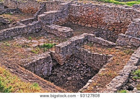 Archeological Dig