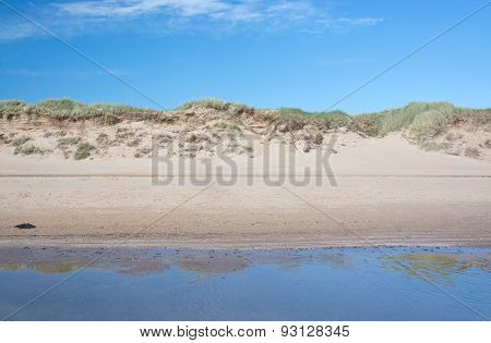 Sand dunes landscape