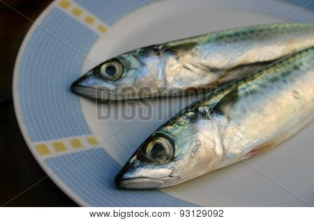 Fresh fish on the plate