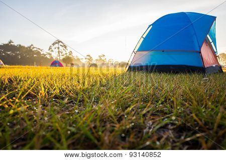 Camping Tent