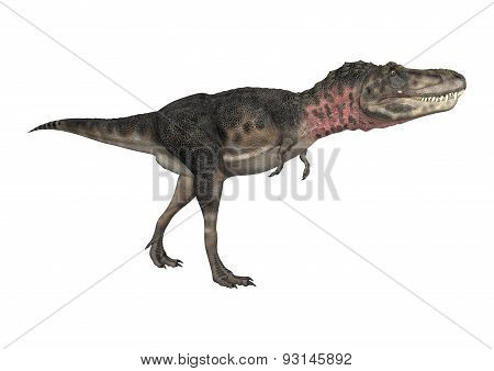 Dinosaur Tarbosaurus