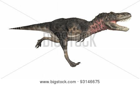 Dinosaur Tarbosaurus