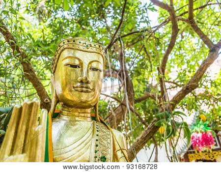 Ancient Buddha Sculpture Under The Big Green Tree
