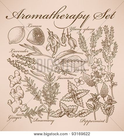 Aromatherapy Set