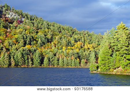 Forest Lake