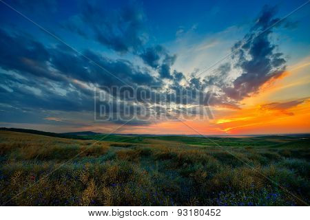 landscape at sunset in Dobrogea, Romania