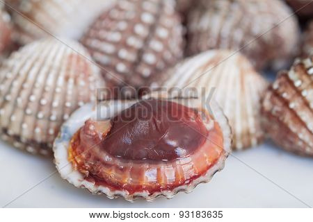 Boil Blood Cockle Seafood