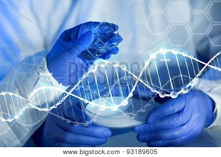 science, chemistry and people concept - close up of scientists hands with glass and chemical powder in petri dish making test or research at laboratory over blue dna molecule structure