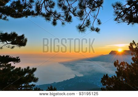 Sunset on the Black sea coast in Crimea, through the branches of pine trees.