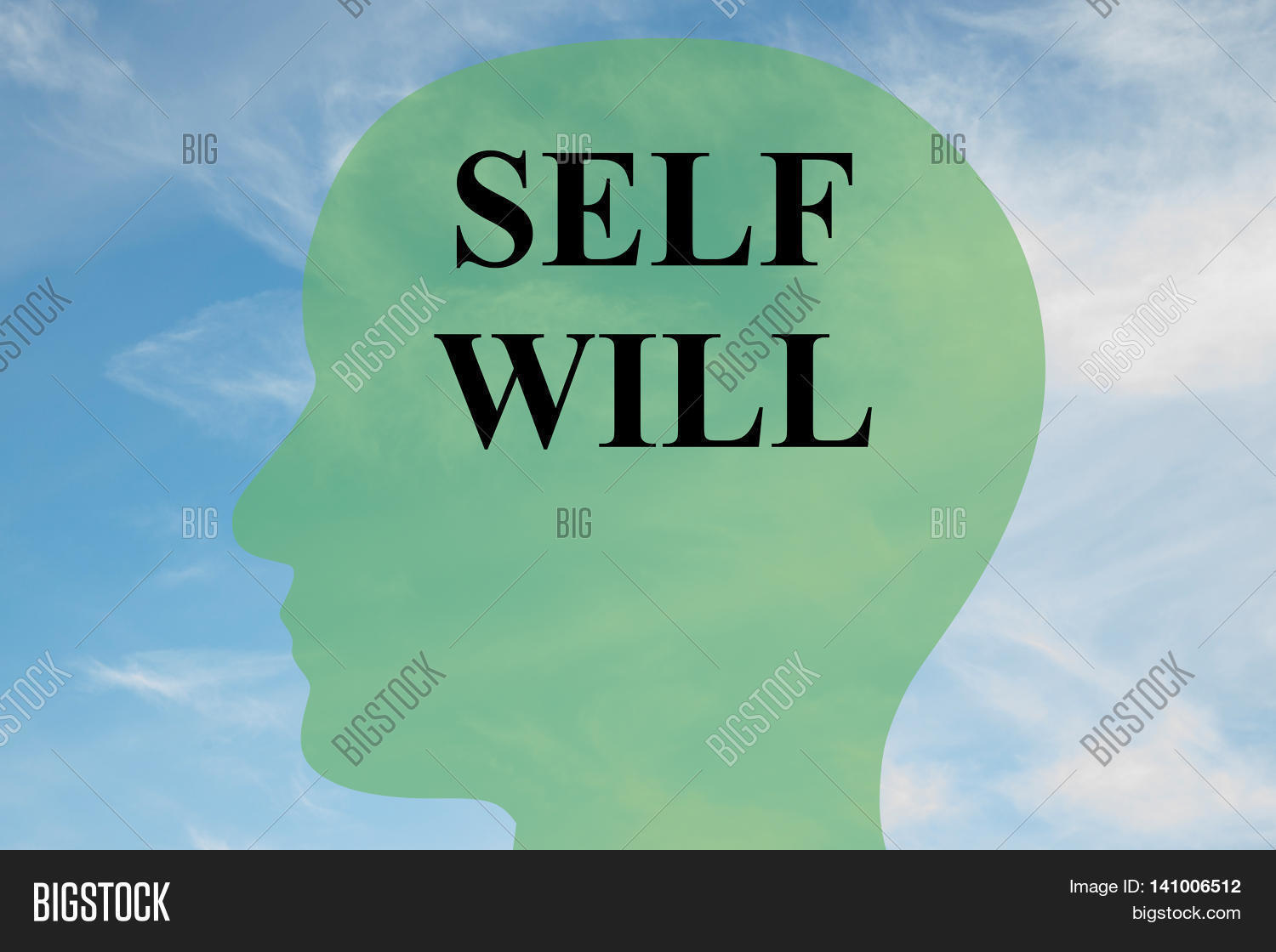 Will it run. Can it run crysis. 5. Can my pc run it. Pc что значит объем в will it run pc building simulator.