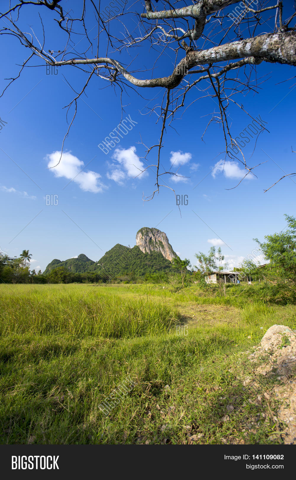 Image Preview