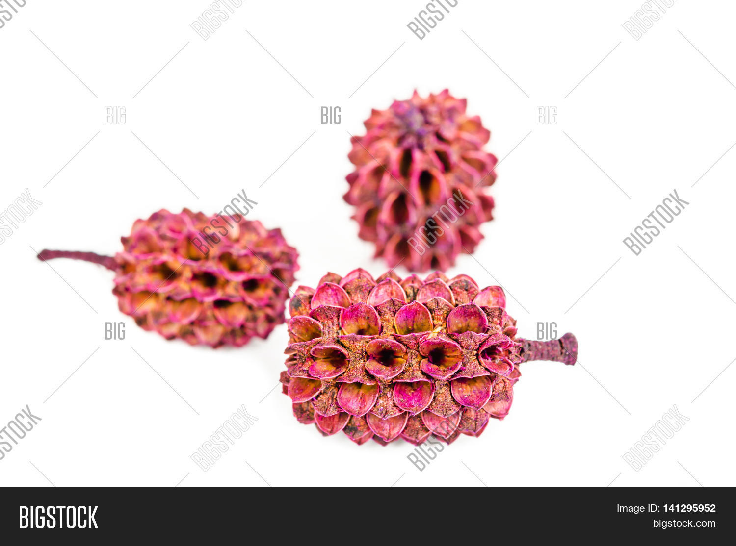 Image Preview
