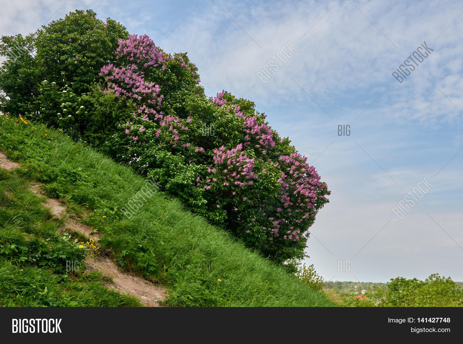 Image Preview