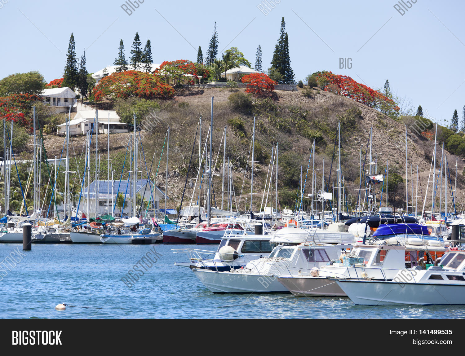 Image Preview