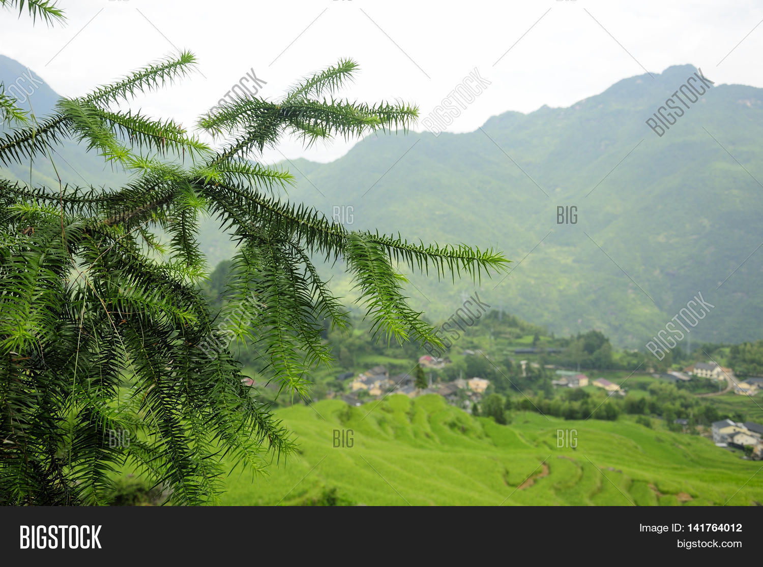 Image Preview