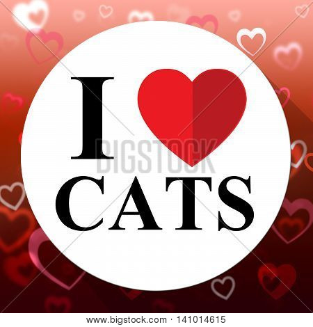 Love Cats Indicates Domestic Fabulous And Like Cat