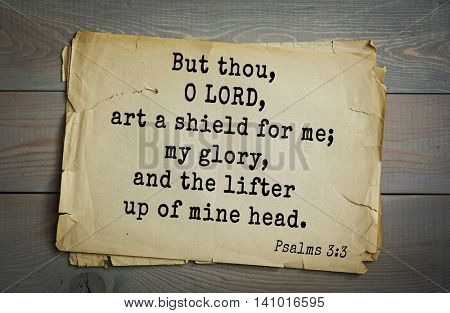 Top 500 Bible verses. But thou, O LORD, art a shield for me; my glory, and the lifter up of mine head. Psalms 3:3