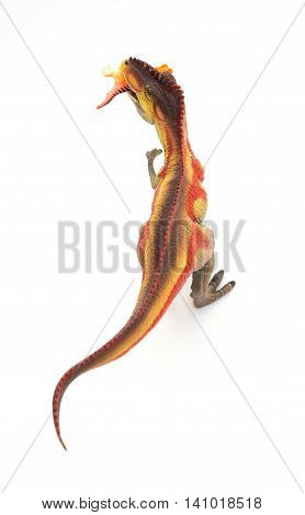 top view Giganotosaurus catching a small dinosaur toy on white background