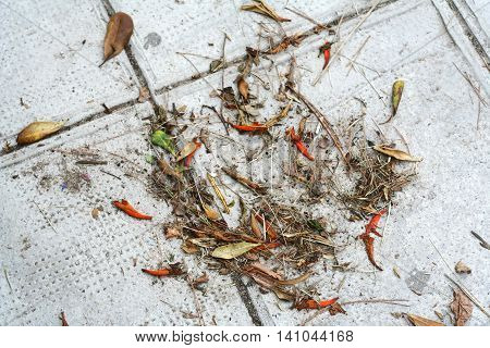 Pine needles, leaves and red flower petals on pavement. Pavement texture background