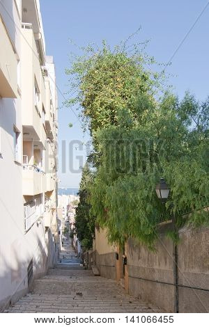 El Terreno Street View