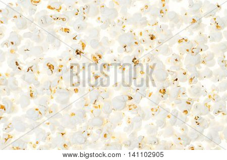 background with pop corn seeds seamless as an unusual composition with patterns and testures on white