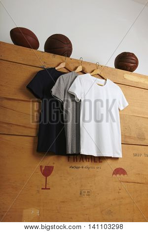 Blank T-shirts Presentation