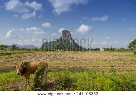 Mountain is landmark in Phatthalung province name 