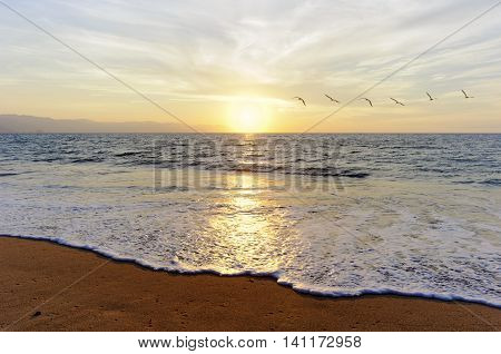 Birds flying ocean sunset is a flock of birds flying toward the bright peaceful sun on the ocean horizon.