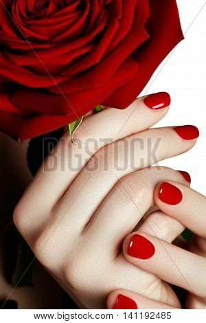 Beautiful Manicured Woman's Hands With Red Nail Polish. Beautifu