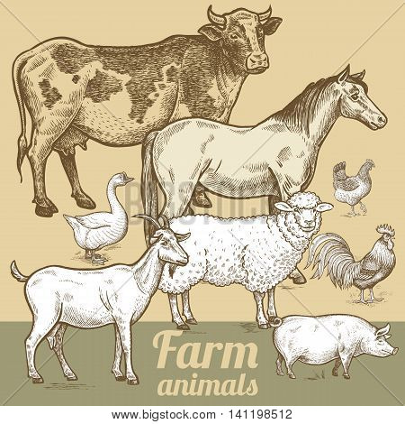 Cow horse sheep goat pig goose rooster chicken. Vector illustration of farm animals. The poster for creation of packaging design farm products signage and billboards of natural food stores.