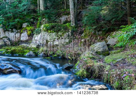 A beautiful scene of river rapids in a Wisconsin forest.