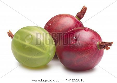 Red And Green Gooseberries, Paths