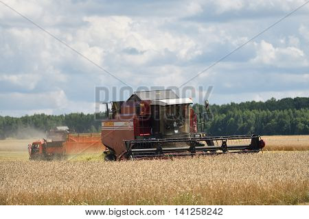 Harvesting Of Wheat. Russia