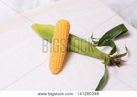 corn,  maize, corncob,  food, healthy, sweetcorn, vegetable